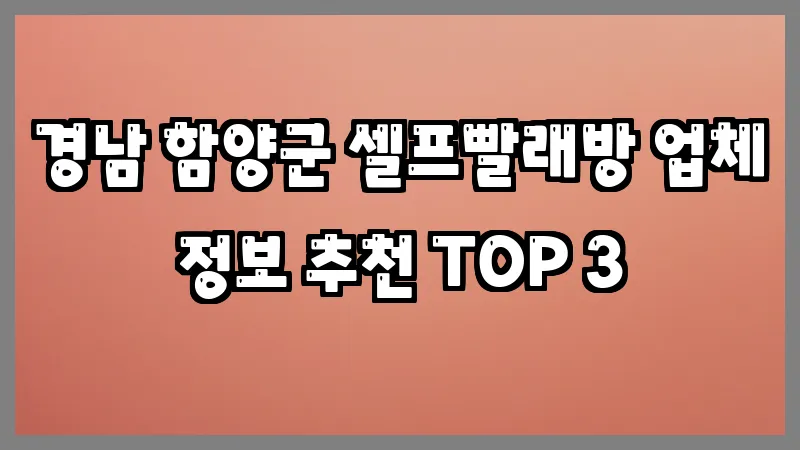 경남 함양군 셀프빨래방 업체 정보 추천 TOP 3