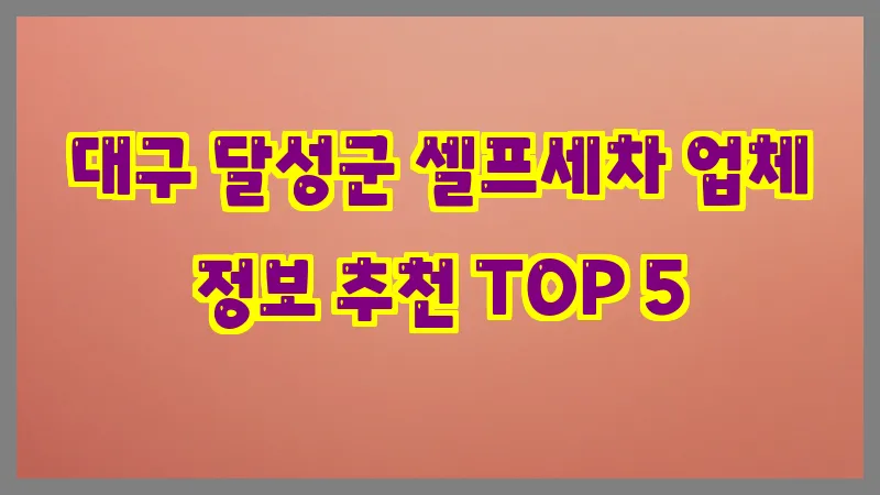 대구 달성군 셀프세차 업체 정보 추천 TOP 5