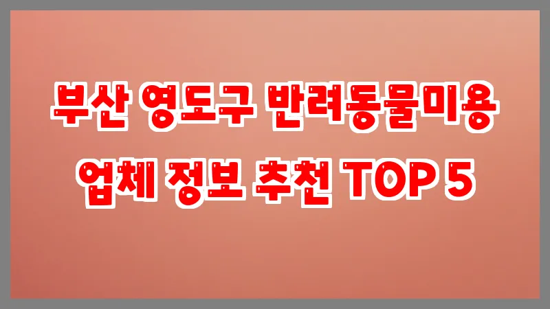 부산 영도구 반려동물미용 업체 정보 추천 TOP 5