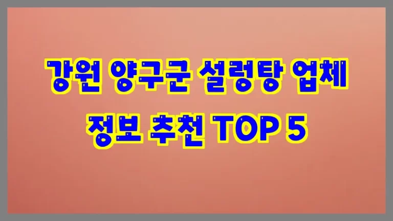 강원 양구군 설렁탕 업체 정보 추천 TOP 5