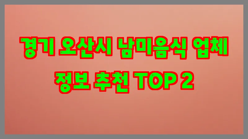 경기 오산시 남미음식