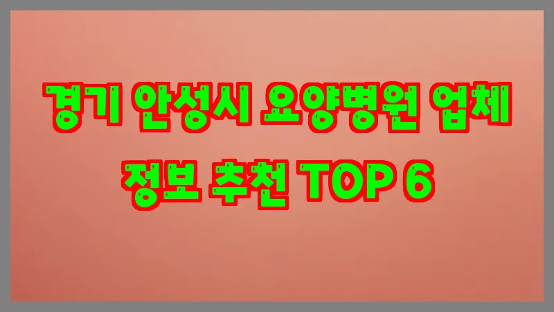 경기 안성시 요양병원