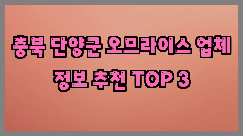 충북 단양군 오므라이스