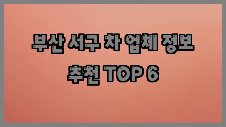 부산 서구 차 업체 정보 추천 TOP 6