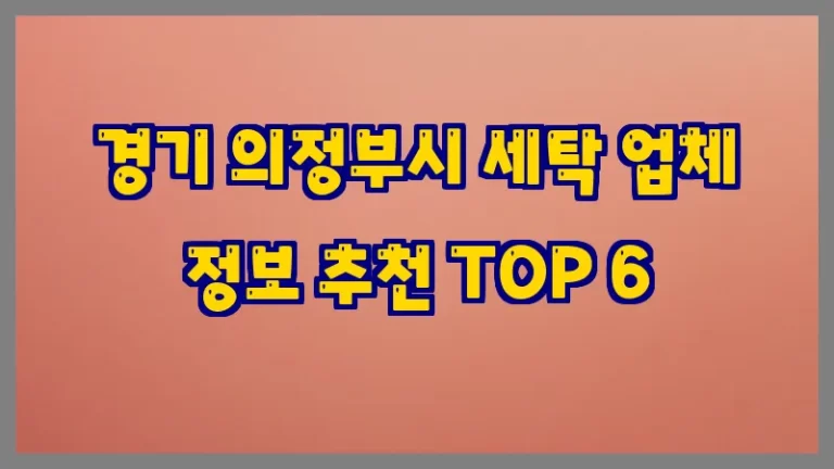 경기 의정부시 세탁 업체 정보 추천 TOP 6