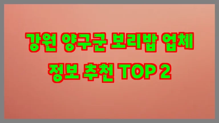 강원 양구군 보리밥 업체 정보 추천 TOP 2