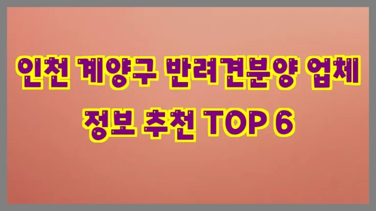 인천 계양구 반려견분양 업체 정보 추천 TOP 6