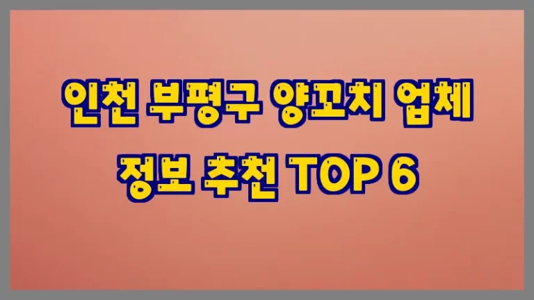 인천 부평구 양꼬치 업체 정보 추천 TOP 6