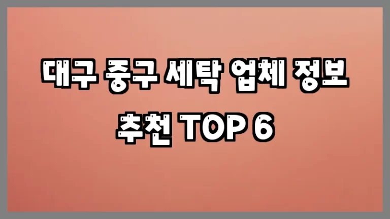 대구 중구 세탁 업체 정보 추천 TOP 6
