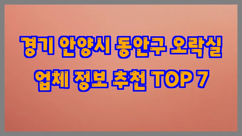 경기 안양시 동안구 오락실