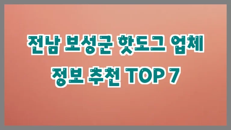 전남 보성군 핫도그 업체 정보 추천 TOP 7