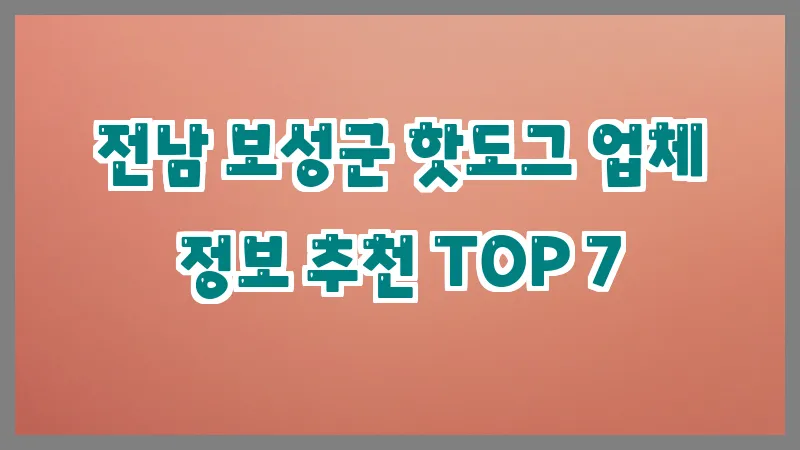 전남 보성군 핫도그