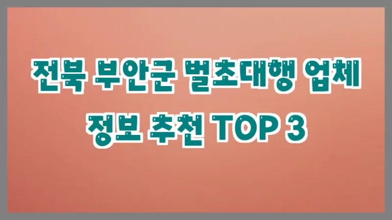 전북 부안군 벌초대행 업체 정보 추천 TOP 3