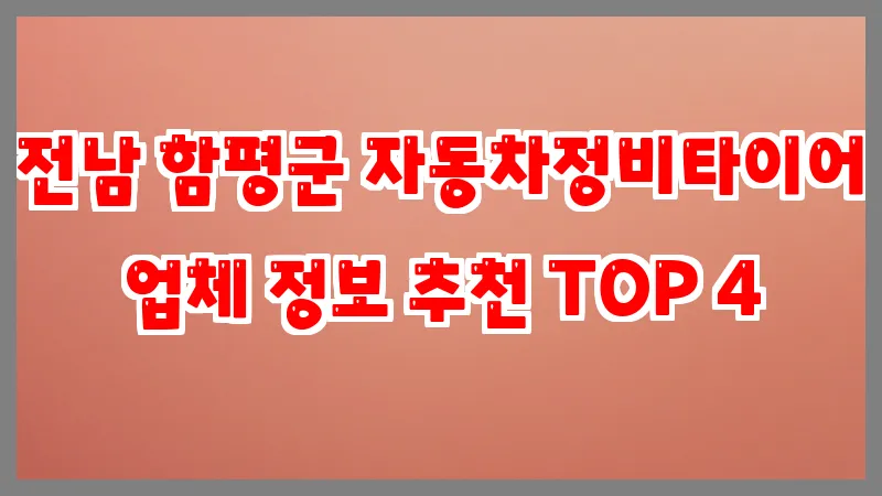 전남 함평군 자동차정비타이어