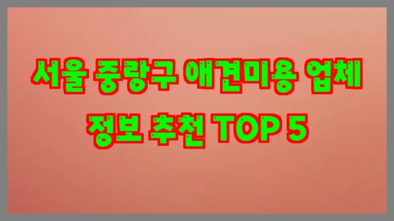 서울 중랑구 애견미용 업체 정보 추천 TOP 5