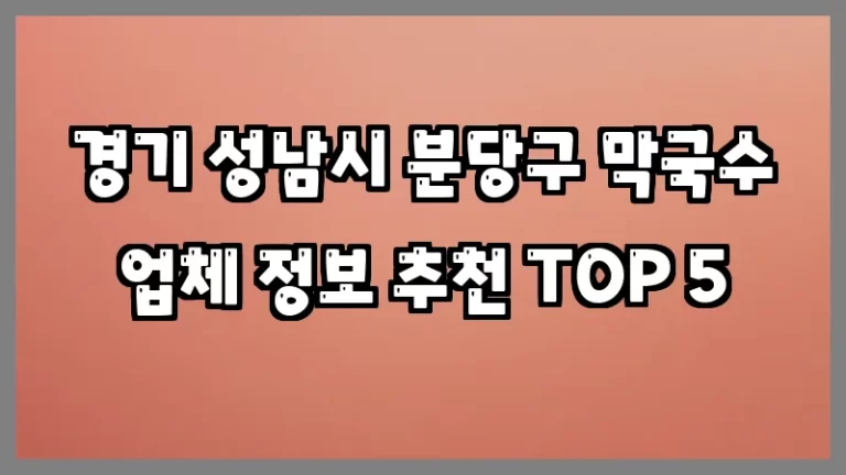 경기 성남시 분당구 막국수 업체 정보 추천 TOP 5