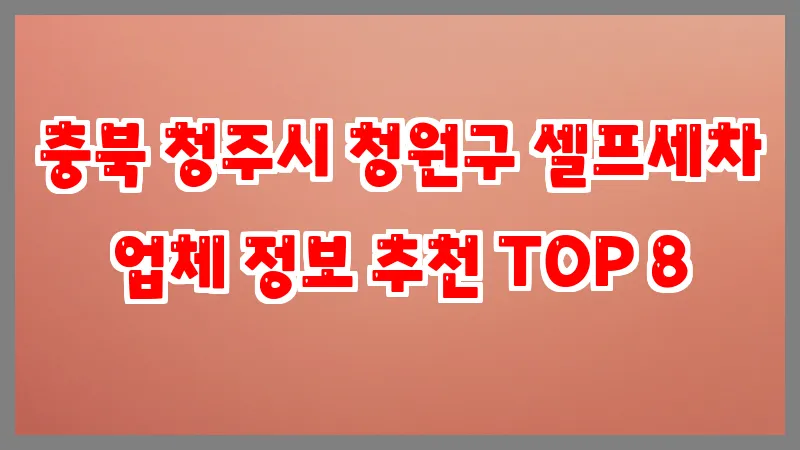 충북 청주시 청원구 셀프세차