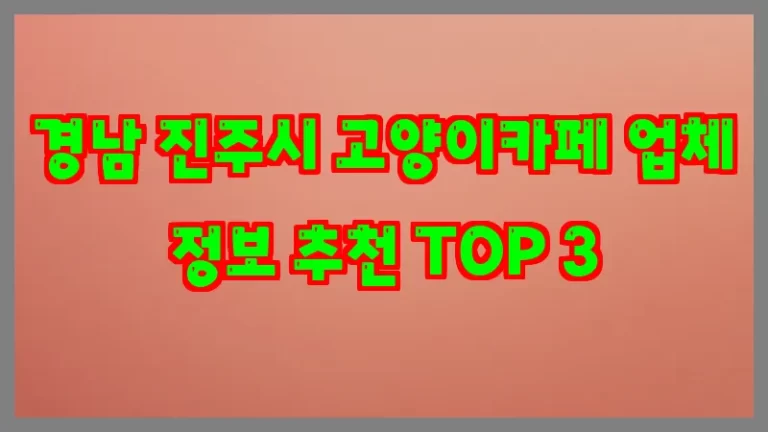 경남 진주시 고양이카페 업체 정보 추천 TOP 3