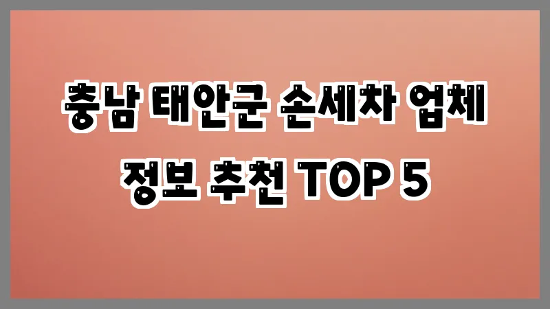충남 태안군 손세차