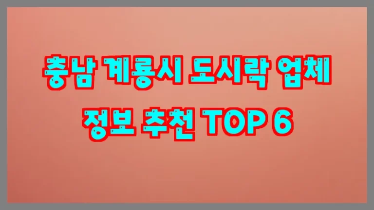 충남 계룡시 도시락 업체 정보 추천 TOP 6