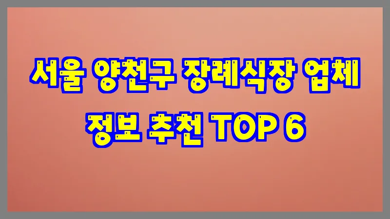 서울 양천구 장례식장