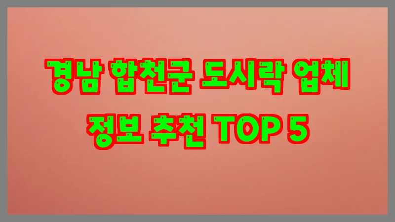 경남 합천군 도시락