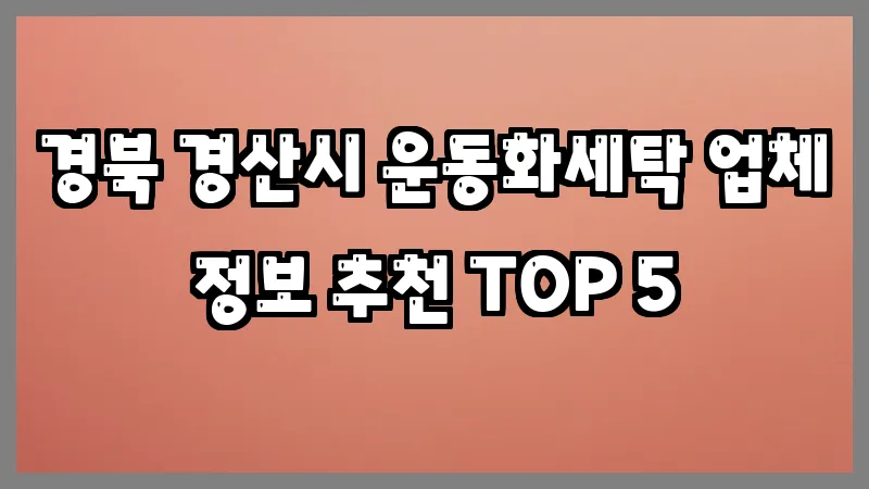 경북 경산시 운동화세탁