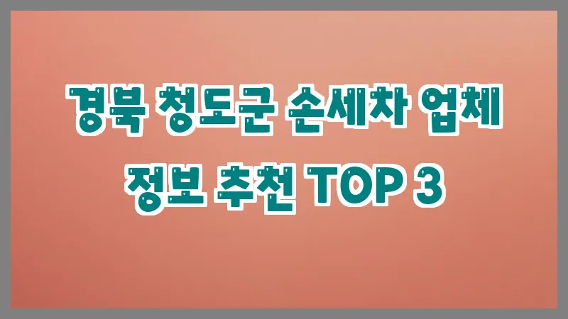 경북 청도군 손세차
