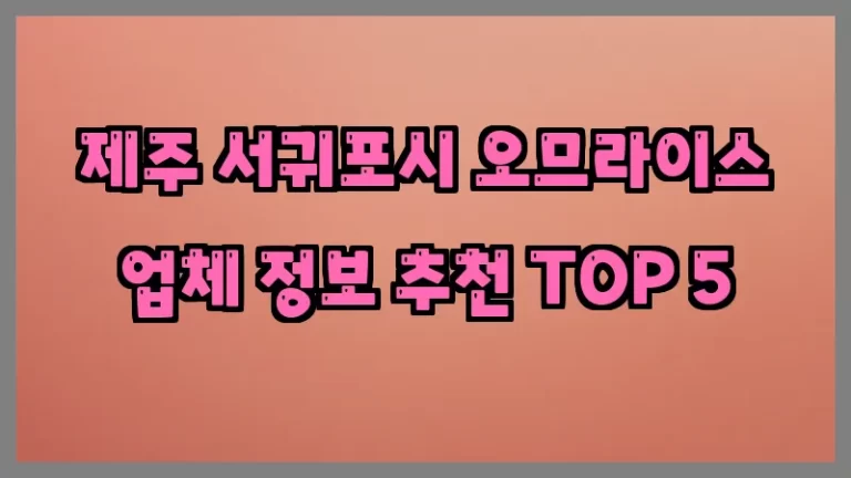 제주 서귀포시 오므라이스 업체 정보 추천 TOP 5