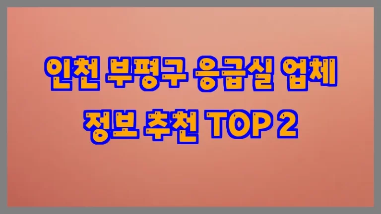 인천 부평구 응급실 업체 정보 추천 TOP 2