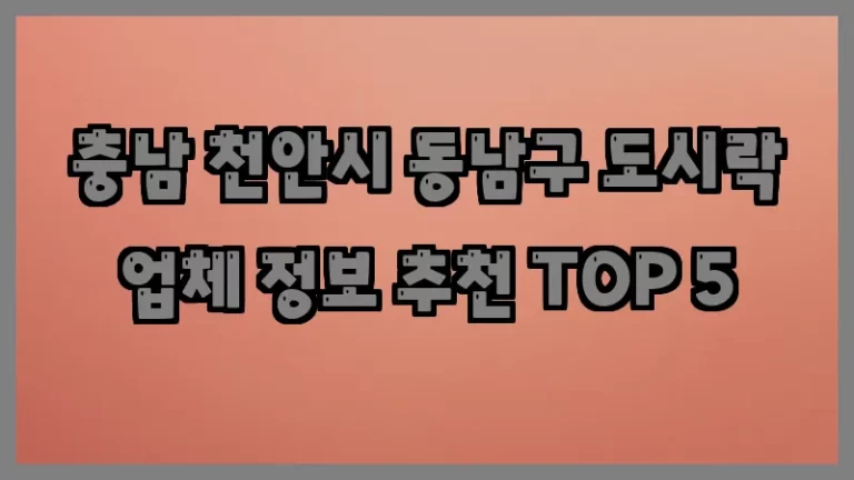 충남 천안시 동남구 도시락 업체 정보 추천 TOP 5