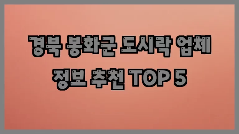 경북 봉화군 도시락 업체 정보 추천 TOP 5