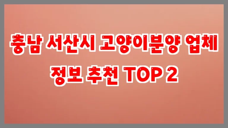 충남 서산시 고양이분양 업체 정보 추천 TOP 2