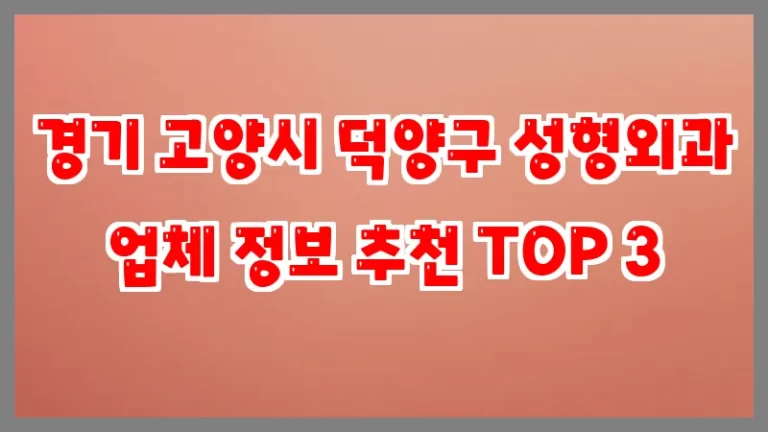 경기 고양시 덕양구 성형외과 업체 정보 추천 TOP 3