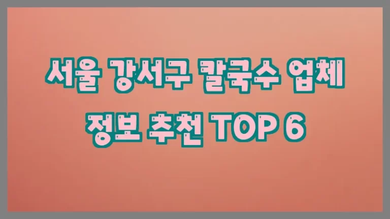 서울 강서구 칼국수 업체 정보 추천 TOP 6