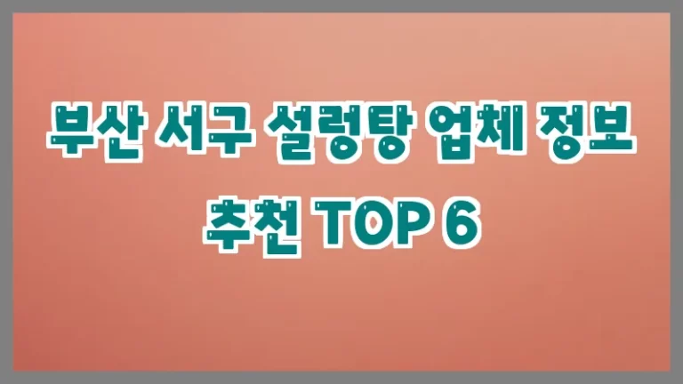 부산 서구 설렁탕 업체 정보 추천 TOP 6