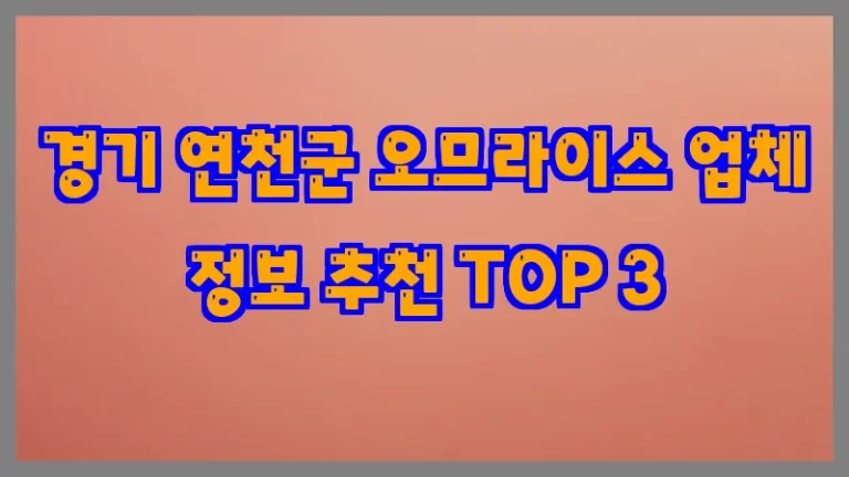 경기 연천군 오므라이스 업체 정보 추천 TOP 3