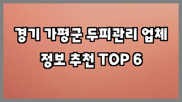 경기 가평군 두피관리 업체 정보 추천 TOP 6