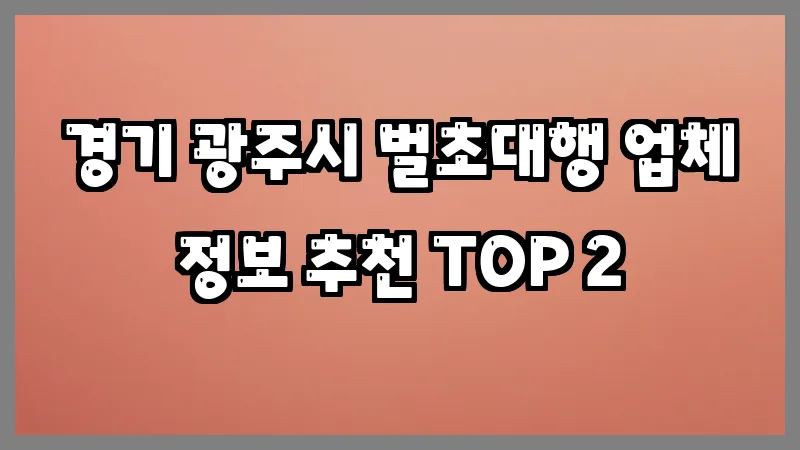경기 광주시 벌초대행