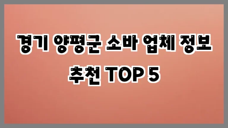 경기 양평군 소바 업체 정보 추천 TOP 5