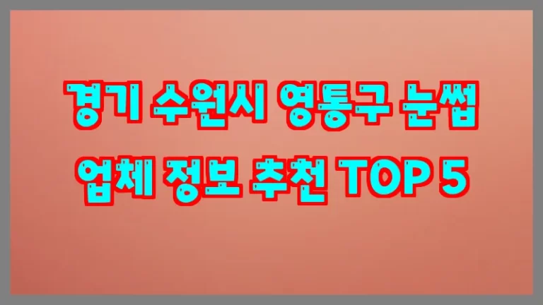 경기 수원시 영통구 눈썹 업체 정보 추천 TOP 5