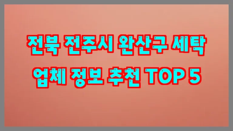 전북 전주시 완산구 세탁 업체 정보 추천 TOP 5