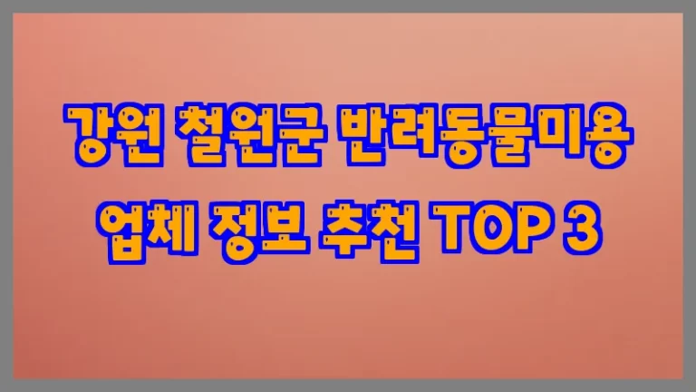 강원 철원군 반려동물미용 업체 정보 추천 TOP 3