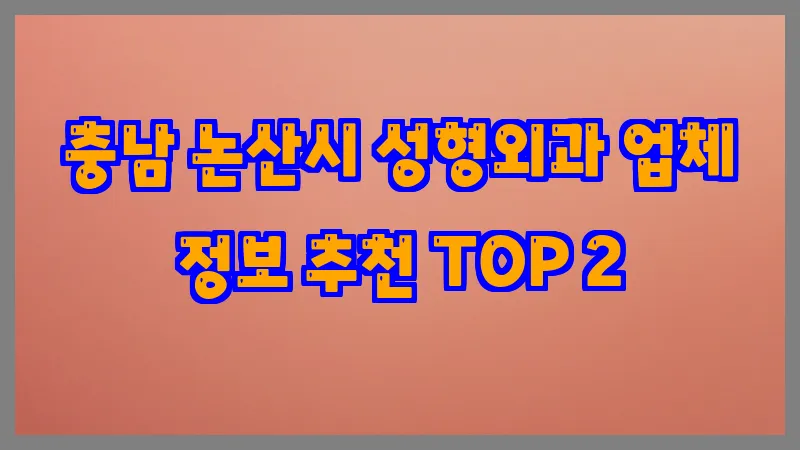 충남 논산시 성형외과