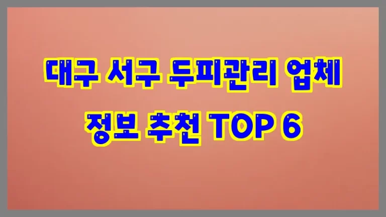 대구 서구 두피관리 업체 정보 추천 TOP 6