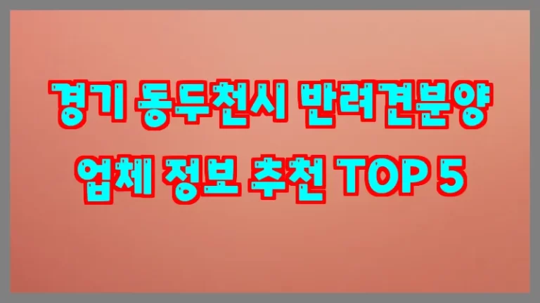 경기 동두천시 반려견분양 업체 정보 추천 TOP 5