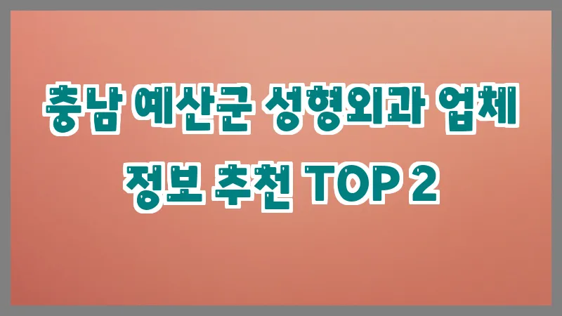 충남 예산군 성형외과