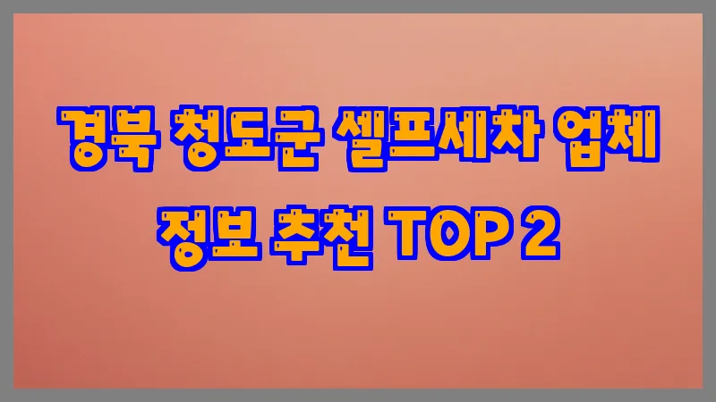 경북 청도군 셀프세차