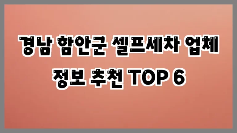 경남 함안군 셀프세차 업체 정보 추천 TOP 6