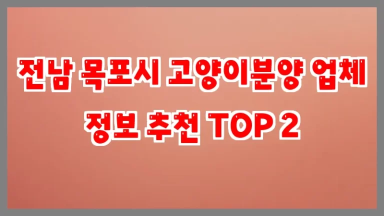 전남 목포시 고양이분양 업체 정보 추천 TOP 2